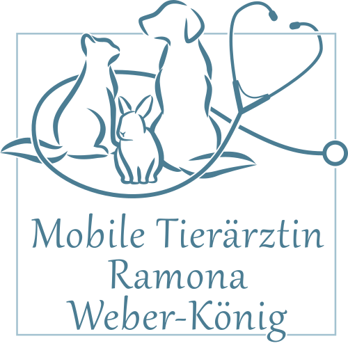 Logo der mobilen Tierärztin Ramona-Weber König. Hund, Katze und Hase mit Stethoskop